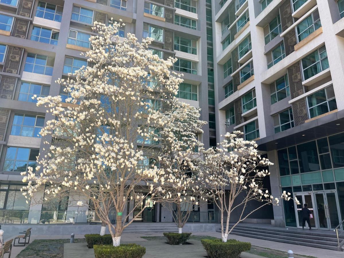 Beijing Elegant Seasons Park Apartment Eksteriør bilde